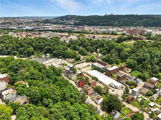 1233 High St, Spring Garden, PA 15212 - aerial view