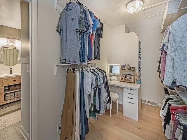 554 Rolling Green Dr, Bethel Park, PA 15102 - walk in closet with a sink and light wood finished floors