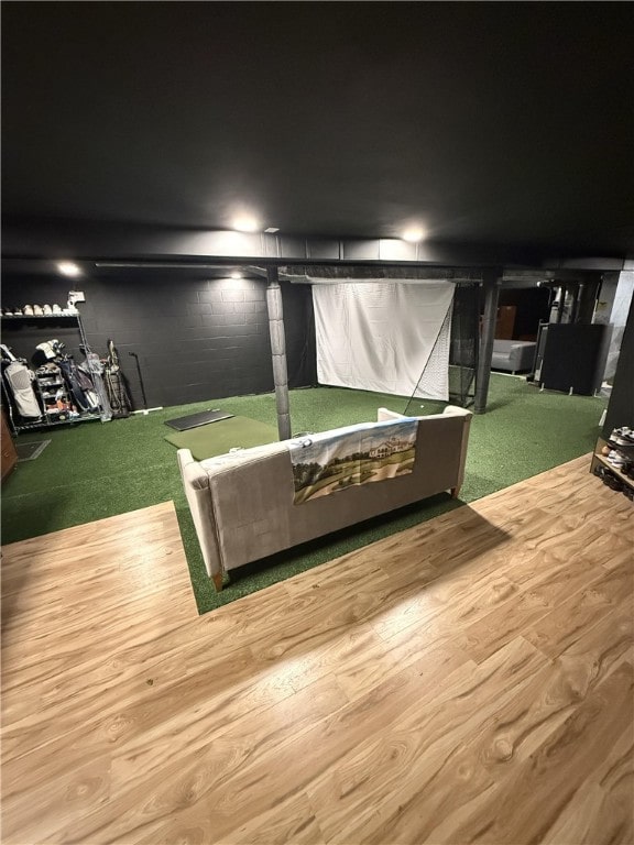 554 Rolling Green Dr, Bethel Park, PA 15102 - recreation room with golf simulator