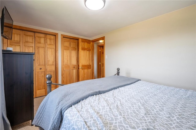 205 Eleanor Dr, Latrobe, PA 15650 - bedroom with multiple closets and light colored carpet