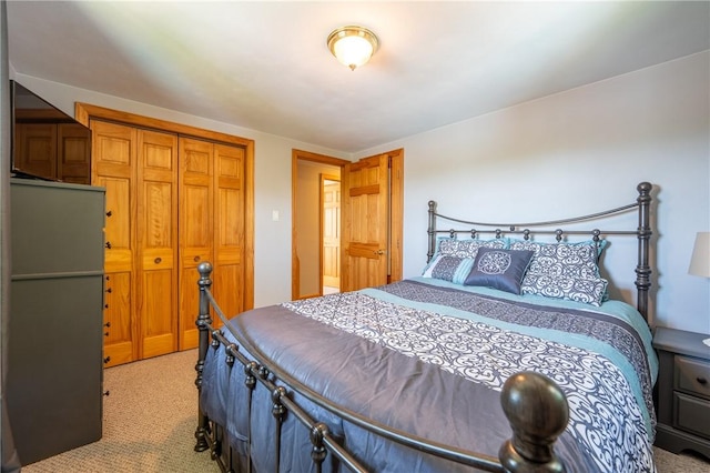 205 Eleanor Dr, Latrobe, PA 15650 - bedroom featuring light colored carpet and a closet