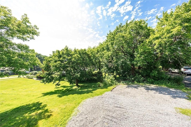 413 Spring St, Grove City Boro, PA 16127 - view of green lawn