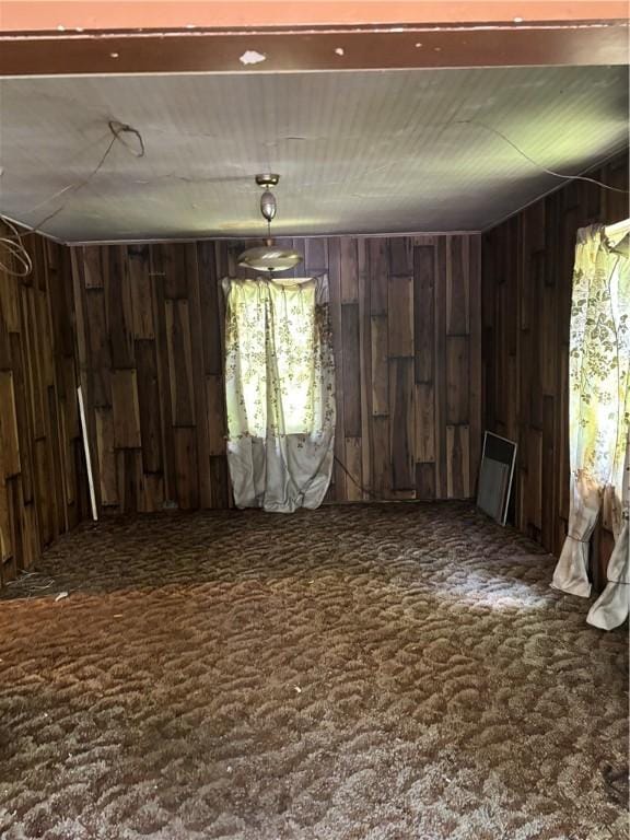 65 Old Mine Rd, Center Twp/Homer Cty, PA 15748 - misc room featuring wooden walls, carpet flooring, and plenty of natural light