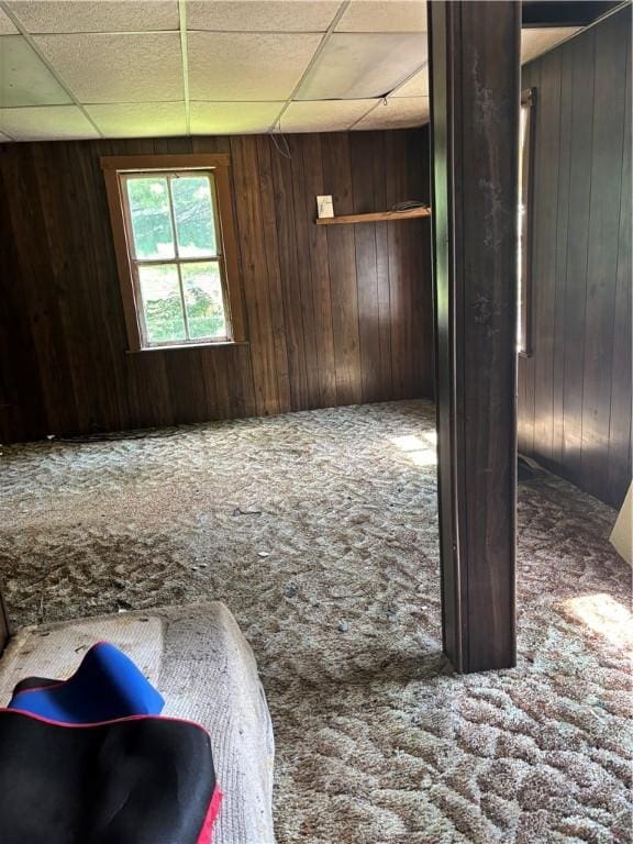 65 Old Mine Rd, Center Twp/Homer Cty, PA 15748 - spare room with carpet flooring, wooden walls, and a drop ceiling
