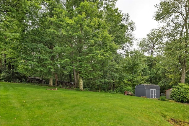 2161/2 Robin Hood Dr, Irwin, PA 15642 - view of green lawn featuring a storage shed