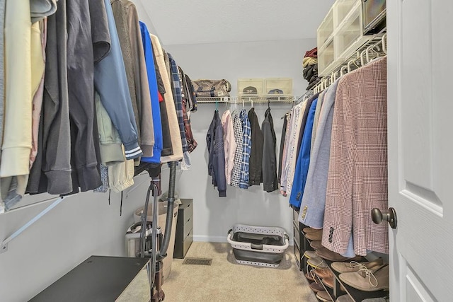 642 Water View Dr, Cranberry Twp, PA 16066 - walk in closet with carpet