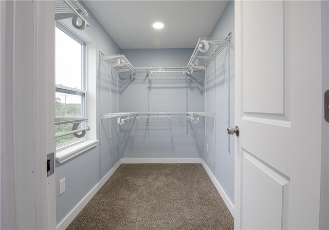 226 Main Street Ext, Callery Boro, PA 16024 - spacious closet featuring carpet