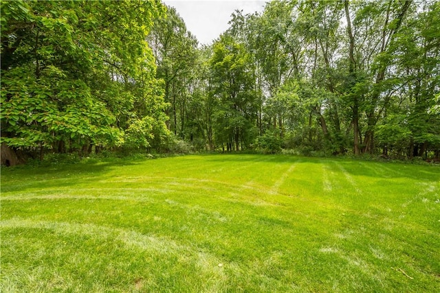 2590 Wildwood Rd, Hampton, PA 15101 - view of green lawn