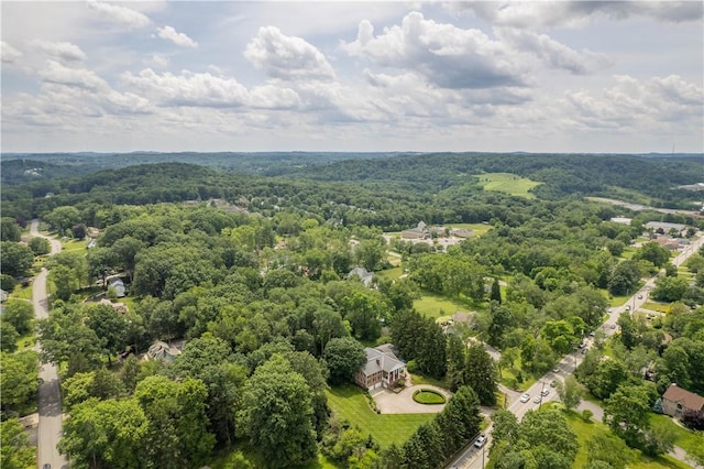 2590 Wildwood Rd, Hampton, PA 15101 - bird's eye view of a heavily wooded area
