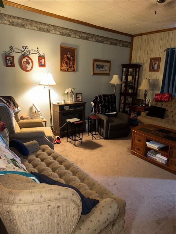 33 Spruce St, Natrona, PA 15065 - living area featuring crown molding, carpet flooring, and wood walls