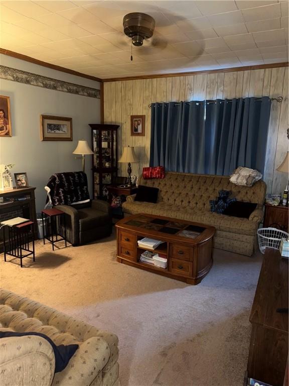 33 Spruce St, Natrona, PA 15065 - carpeted living room with crown molding and wooden walls