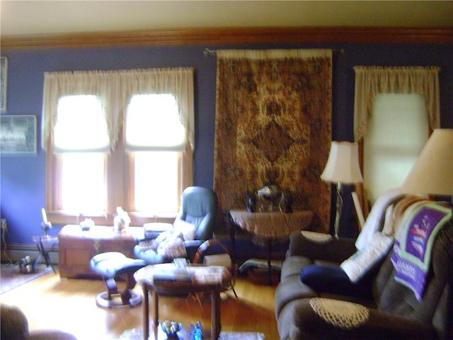 404 Scipio, Jamestown, PA 16134 - living area with healthy amount of natural light and wood finished floors