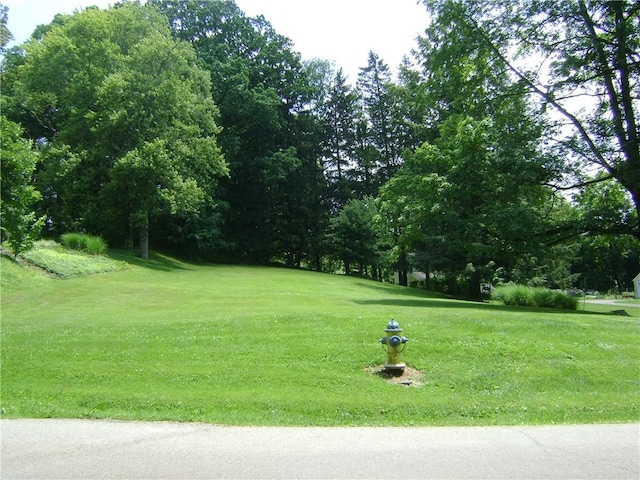 404 Scipio, Jamestown, PA 16134 - view of property's community with a lawn and view of wooded area