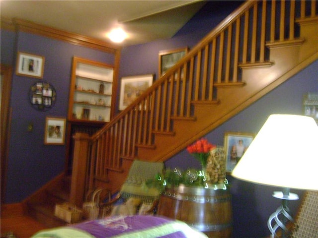 404 Scipio, Jamestown, PA 16134 - stairway featuring ornamental molding