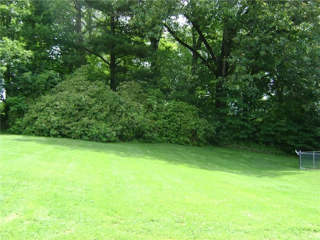 404 Scipio, Jamestown, PA 16134 - view of yard