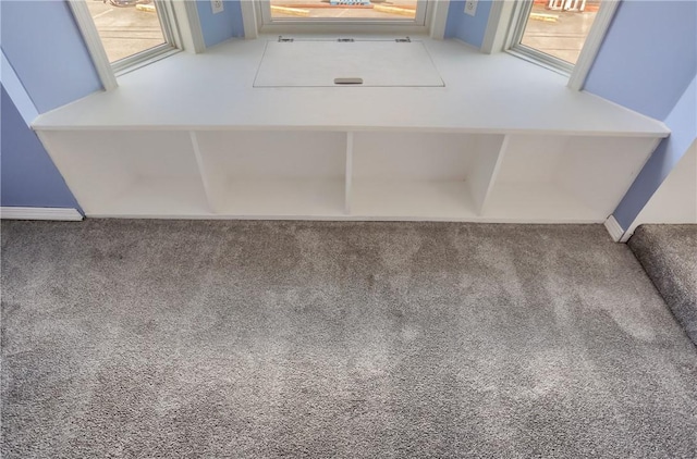 516 5th St, Darlngtn Twp, PA 16115 - detailed view of carpet