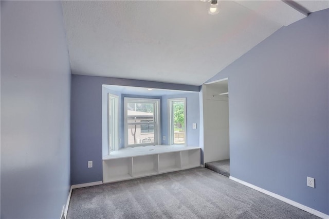 516 5th St, Darlngtn Twp, PA 16115 - empty room featuring vaulted ceiling and carpet