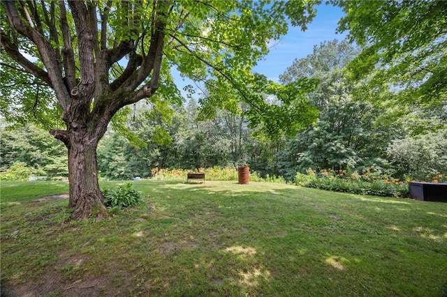 2180 Dime Rd, Bethel Twp, PA 15690 - view of grassy yard