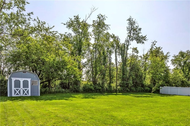 116 Rizzi Dr, Penn Twp Wml, PA 15642 - view of yard with a shed