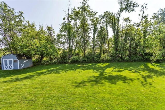 116 Rizzi Dr, Penn Twp Wml, PA 15642 - view of grassy yard featuring a storage unit