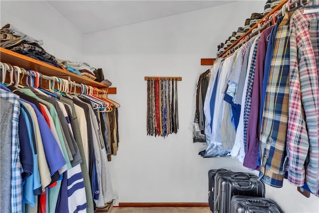 116 Rizzi Dr, Penn Twp Wml, PA 15642 - view of spacious closet