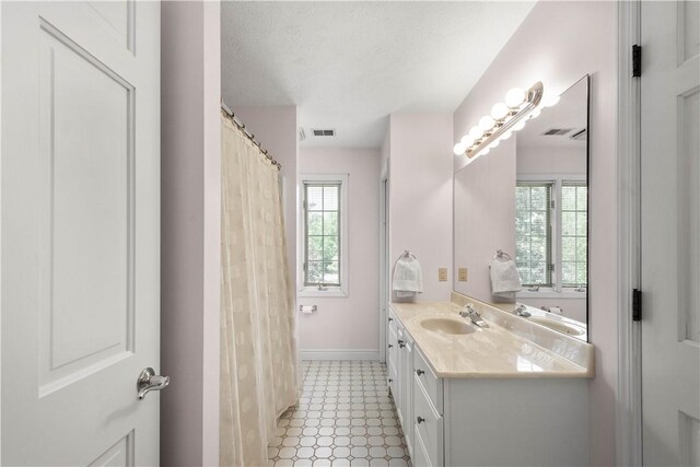 1648 Blackburn Heights Dr, Ohio Twp, PA 15143 - bathroom featuring vanity and plenty of natural light