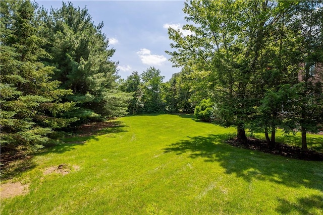 1648 Blackburn Heights Dr, Ohio Twp, PA 15143 - view of green lawn