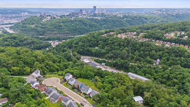 196 Oakbrook Cir, Banksville/Westwood, PA 15220 - bird's eye view of a heavily wooded area