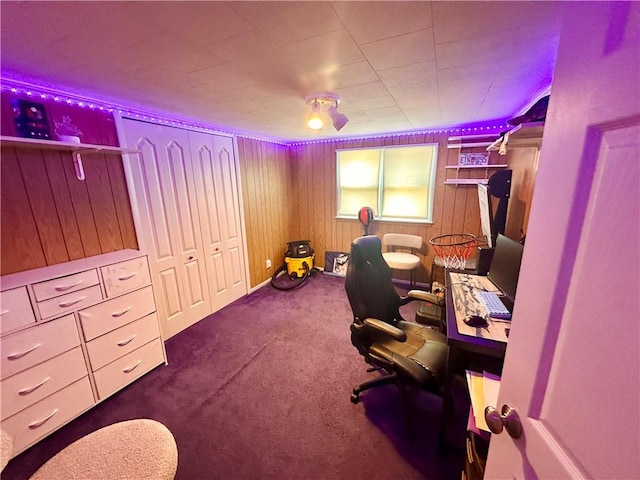 3246 Old Mcclellandtown Rd, Pa, PA 15458 - carpeted home office with wooden walls