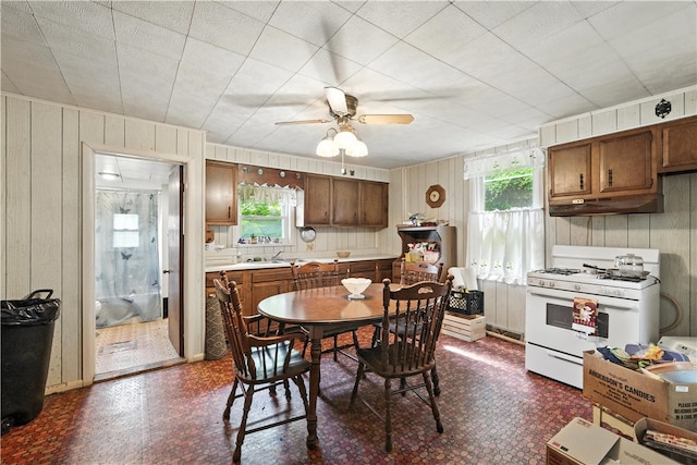 3114 30th St, Pulaski Twp Bea, PA 15066 - dining room featuring plenty of natural light, wooden walls, dark flooring, and a ceiling fan