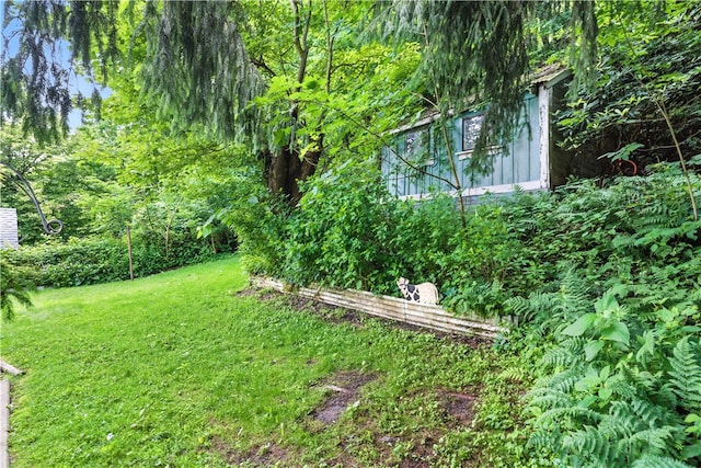 3114 30th St, Pulaski Twp Bea, PA 15066 - view of green lawn