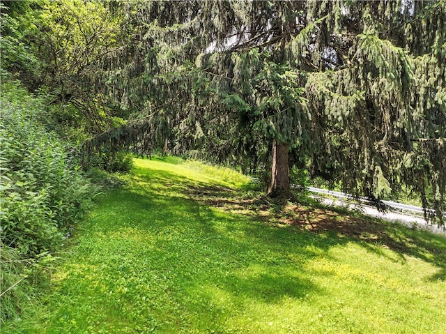 3114 30th St, Pulaski Twp Bea, PA 15066 - view of green lawn with a wooded view