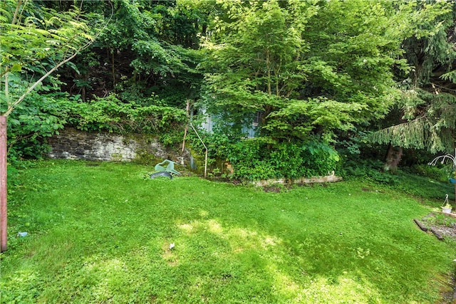 3114 30th St, Pulaski Twp Bea, PA 15066 - view of grassy yard