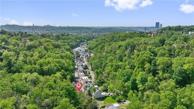 2617-2619 Spring Garden Ave, Spring Garden, PA 15212 - aerial view of a forest