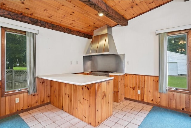 14 Denamen B Dr, West Middlesex Boro, PA 16159 - kitchen with island exhaust hood, a wainscoted wall, healthy amount of natural light, wood walls, and wood ceiling