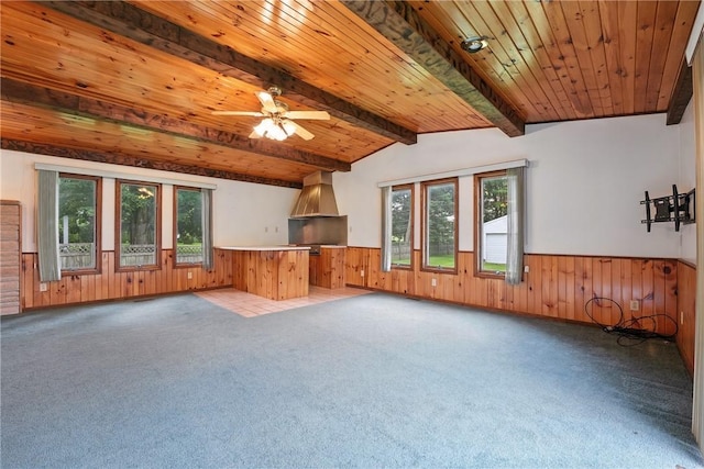 14 Denamen B Dr, West Middlesex Boro, PA 16159 - unfurnished living room featuring a wainscoted wall, healthy amount of natural light, wood walls, wood ceiling, and carpet