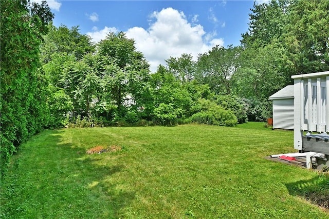 49 N Oakdale Ave, Hermitage, PA 16148 - view of green lawn