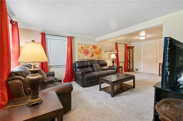 2534 Jefferson Ave, West Mifflin, PA 15122 - view of carpeted living room