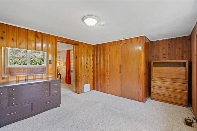 2534 Jefferson Ave, West Mifflin, PA 15122 - unfurnished bedroom with wooden walls, carpet flooring, and a closet