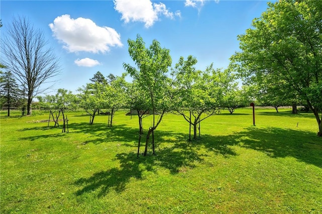 236 Fredonia Rd, Hempfield Twp Mer, PA 16125 - view of grassy yard