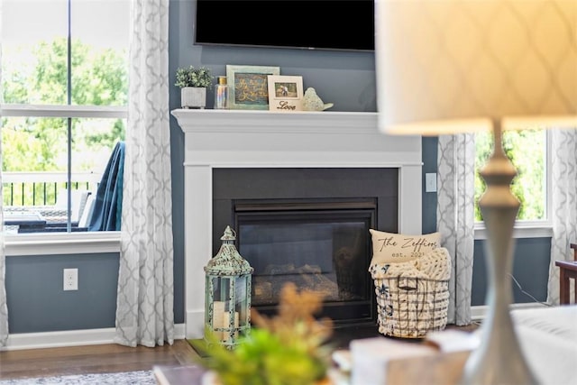 134 Black Oak Ln, Cecil, PA 15057 - detailed view of a glass covered fireplace and wood finished floors