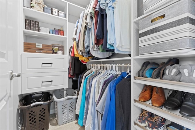 134 Black Oak Ln, Cecil, PA 15057 - view of spacious closet
