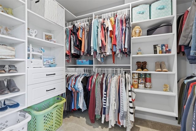 134 Black Oak Ln, Cecil, PA 15057 - spacious closet with carpet floors