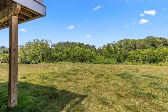 134 Black Oak Ln, Cecil, PA 15057 - view of grassy yard featuring a wooded view