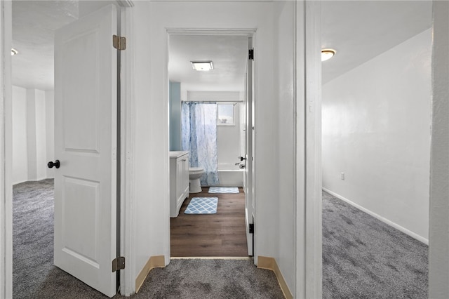 116 Walter, Allentown, PA 15210 - corridor with carpet floors and baseboards