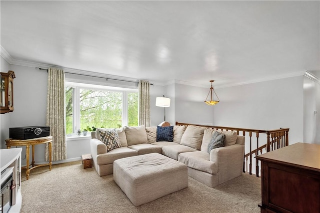 1116 Mcgovern Rd, Chartiers, PA 15342 - living area featuring ornamental molding and light carpet