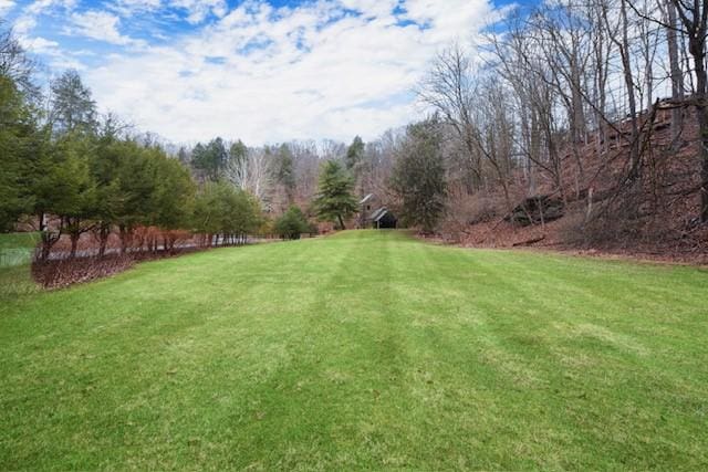 1397 Abers Creek Rd, Monroeville, PA 15146 - view of green lawn