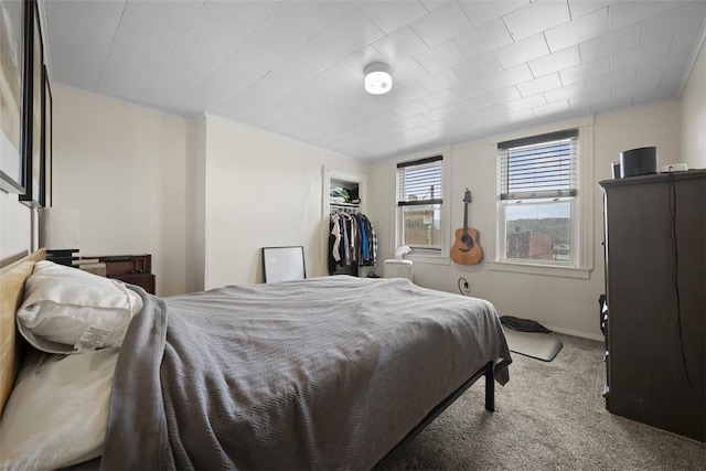 3520 Butler St, Lawrenceville, PA 15201 - bedroom with carpet flooring, a spacious closet, and a closet
