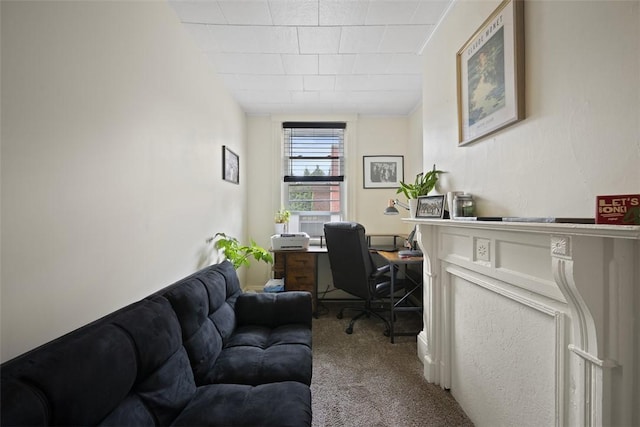 3520 Butler St, Lawrenceville, PA 15201 - view of carpeted home office