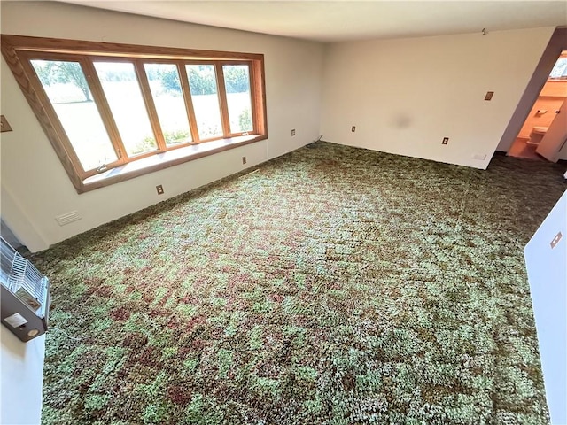 133 Hamburg Rd, Delaware Twp, PA 16154 - empty room with carpet flooring